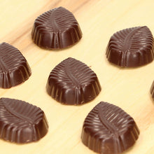 Load image into Gallery viewer, FunCakes Chocolate Mould - Leaf
