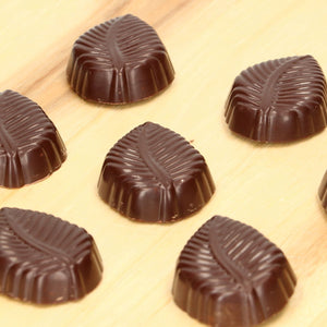 FunCakes Chocolate Mould - Leaf