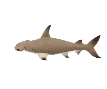 Stretchy Beanie - Hammerhead Shark