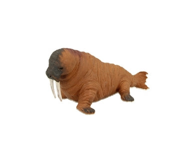 Stretchy Beanie - Walrus