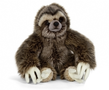 Sloth Teddy