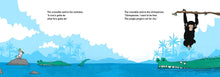 Load image into Gallery viewer, Crocodile Tears Hardback Book
