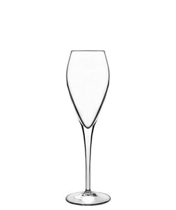 Atelier Sparkling Wine Glass - Set of 6
