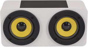 Magnetic Induction Amplifier