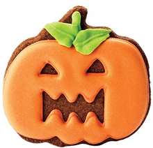 Load image into Gallery viewer, PME Cookie Cutter- Pumpkin Set of 2
