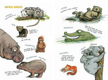 Load image into Gallery viewer, Do Animals Fall In Love Hardback Book
