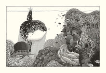Load image into Gallery viewer, The Wanderer Hardback Book
