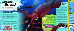 Ocean Monsters: Interact with Lifesize Sea Predators