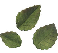 Load image into Gallery viewer, PME Fondant Cutters - Rose Leaf
