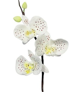 PME Fondant Cutters - Moth Orchid