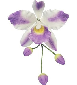PME Fondant Cutters - Cattleya Orchid