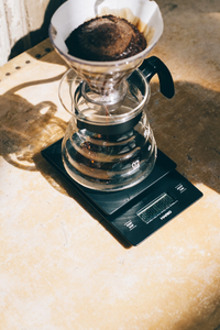 Hario V60 Clear Coffee Dripper - No.2