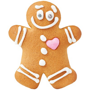 PME Cookies & Cake Gingerbread Man Cutters