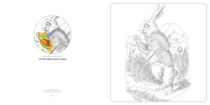 Alice in Wonderland Book
