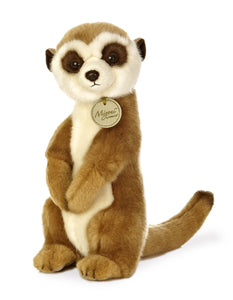 Meerkat Teddy