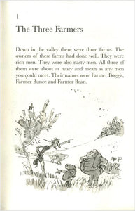 Roald Dahl Fantastic Mr Fox Book