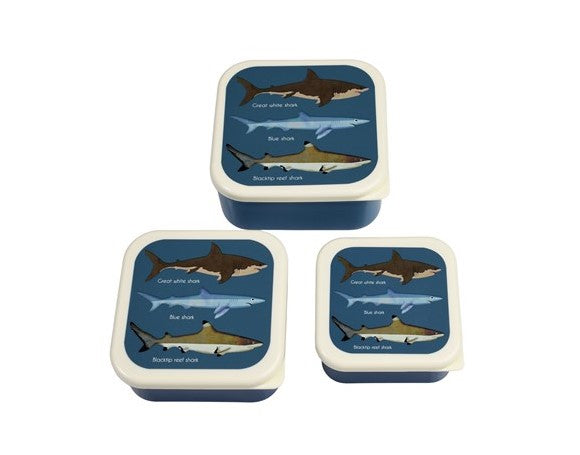 Rex Set of 3 Snack Boxes - Sharks