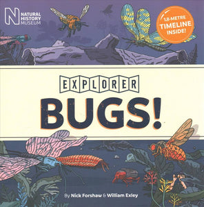 Explorer Bugs