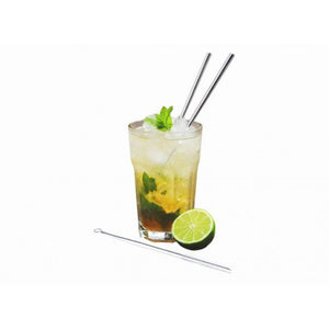 Vin Bouquet Straight Stainless Steel Straw Set